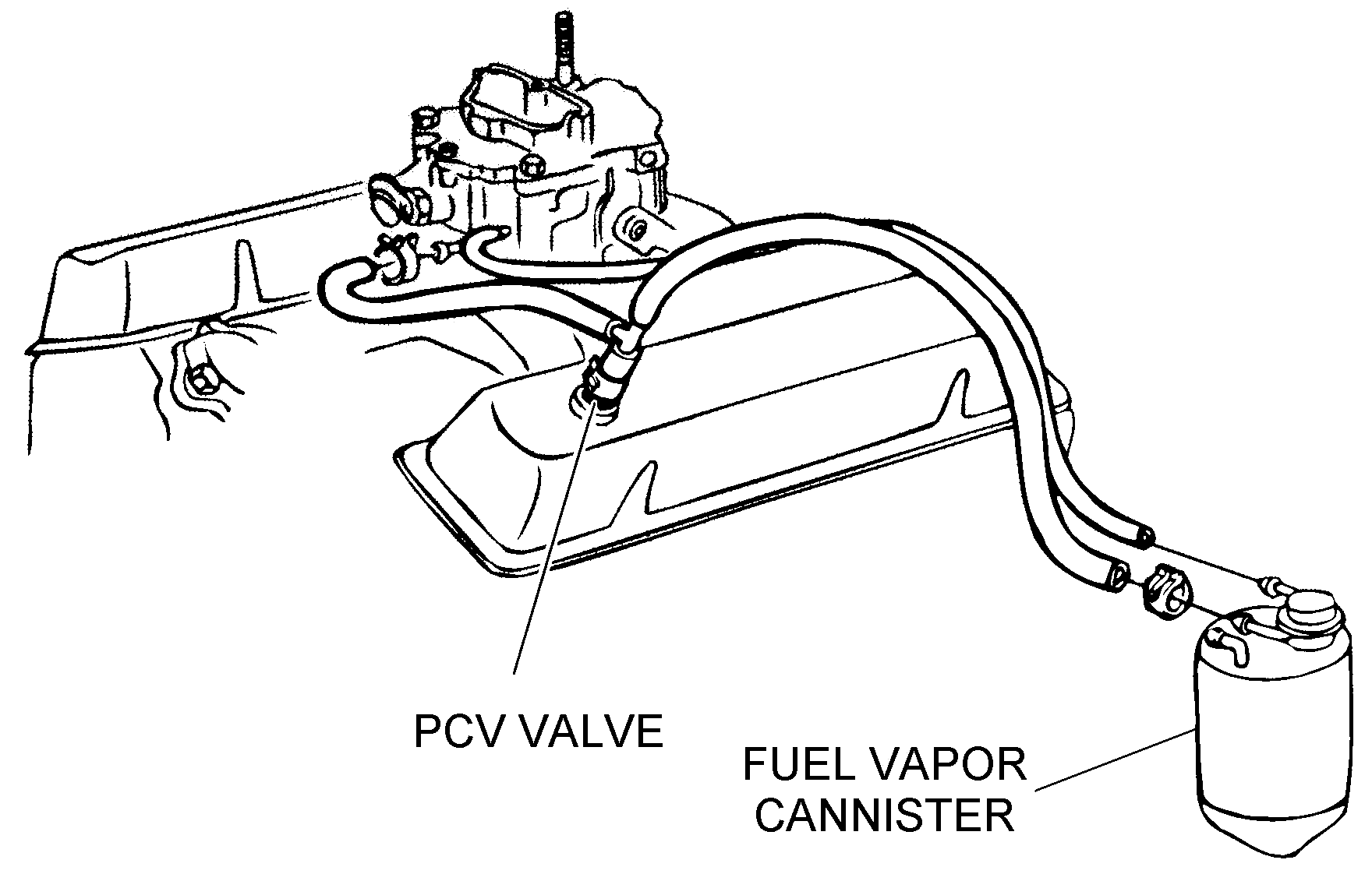 Fuel Vapor Canister Assembly - Diagram View