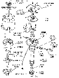 Distributor Assembly Diagram Thumbnail