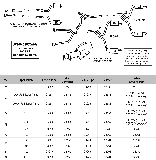 1975-82 Exhaust Systems Diagram Thumbnail
