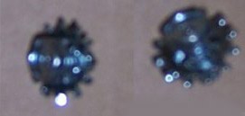 Image for item B4975